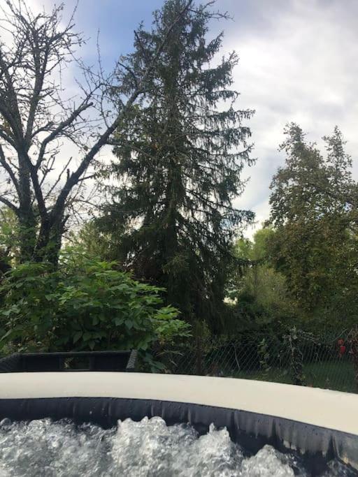Charmant Gite En Perigord Vert Douchapt Экстерьер фото